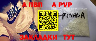 дмт Кингисепп