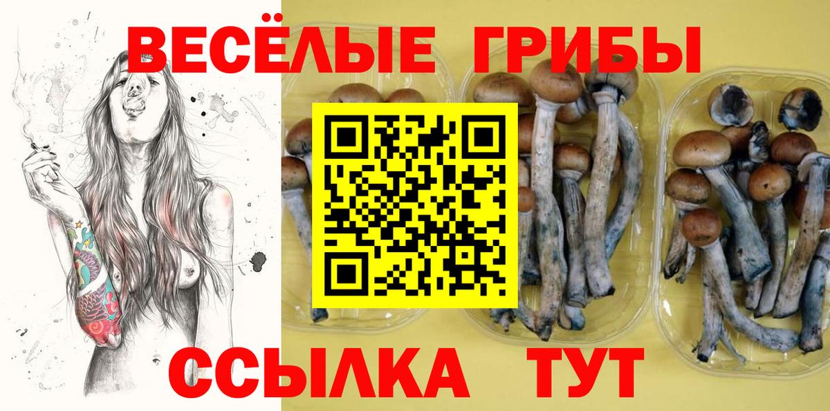 Галлюциногенные грибы мицелий Куйбышев